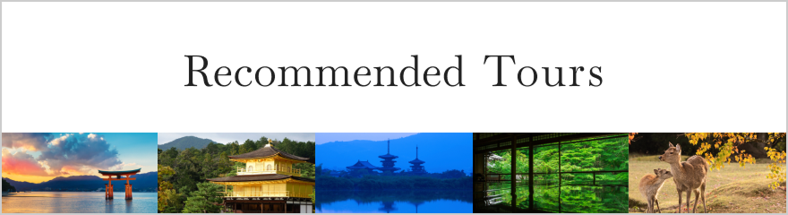 Recommended Tours