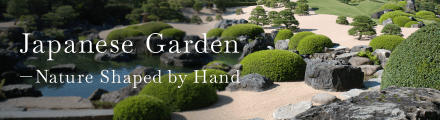 Japanese Garden — Nature Shaped by Hand