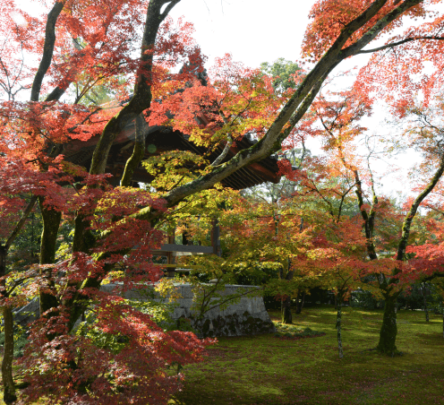 Kinkaku-ji Temple