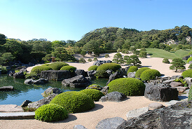 Japanese Garden — Nature Shaped by Hand