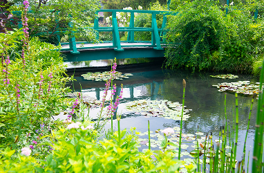 Dialogue with Western Gardens