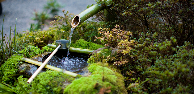 Unveiling the Secrets of Japanese Garden Design