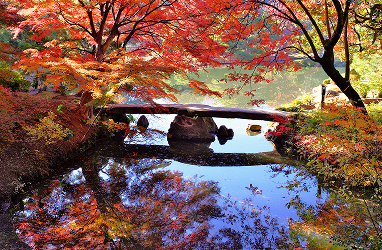 Garden Styles — From Zen Stillness to Strolling Elegance