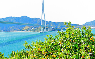 Ikuchijima 1-Day Tour - Art, Nature & Island Charm (from Hiroshima)