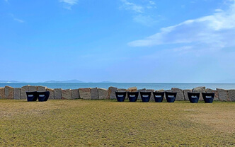 Limited to Specific Days! Inujima & Teshima 1-Day Art Island Tour