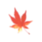 背景の紅葉