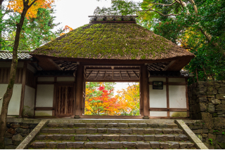 1-day Kyoto Tour: Philosopher's Path and Picturesque Temples