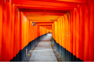 Half-day (AM) Kyoto Tour: Vermillion Shrine Gates and Sake Brewery Delights
