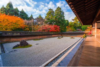 1-day Western Kyoto Tour: World Heritage Sites and Bamboo Forest