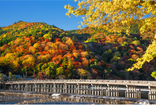 Half-day(AM) Western Kyoto Tour: Ancient Time Nobles Resort and Bamboo Forest