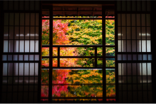 1-day Shiga Tour: World Heritage Temple, Cozy Priest Lodge, and Sacred Shrine
