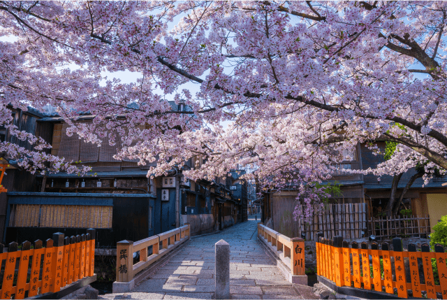 A Deep Pilgrimage of Zen and History: Kyoto Highlights Tour