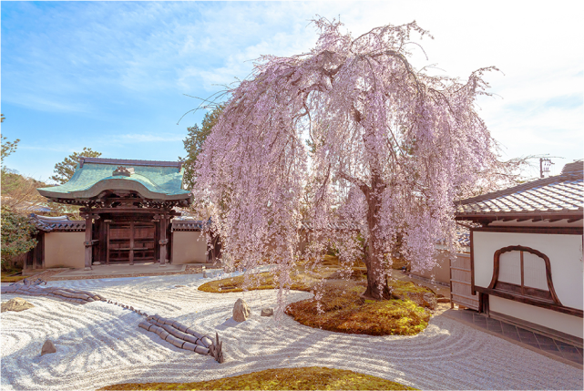 1-day Eastern Kyoto Tour: Temples, Gardens, World Heritage Site
