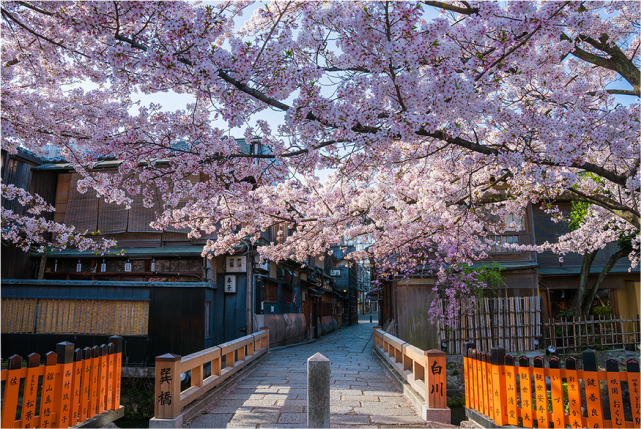 1-day Eastern Kyoto Tour: Always the Most Popular Tourist Destinations