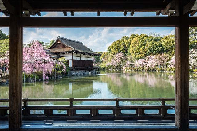 Half-day(AM)Kyoto Cherry Blossom Tour: Garden,Riverside Walk,Gion geisha District