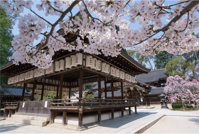 Beauty and Serenity of Arashiyama Half-day tour