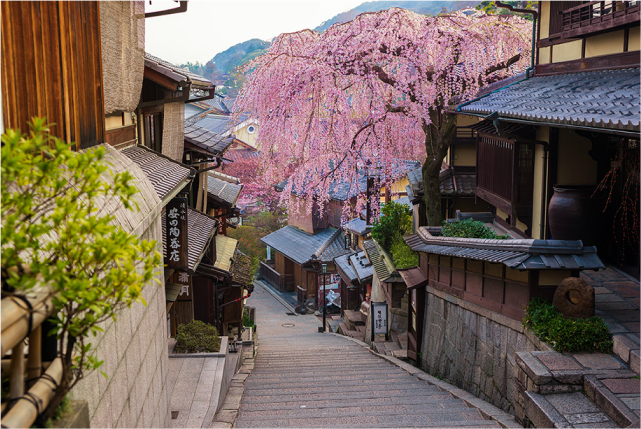 1-day Kyoto Must-Visit Tour: World Heritage Sites and Gion Geisha District