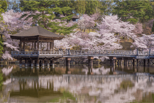 A Half-day Spring Splendor: Exploring Minoh Waterfalls and Katsuo-ji Temple in Osaka