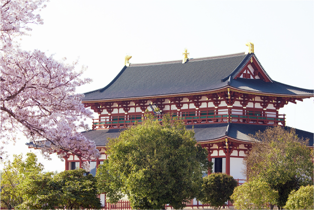 Half-day (AM) Western Nara Tour: World Heritage Temples and Former Capital Site
