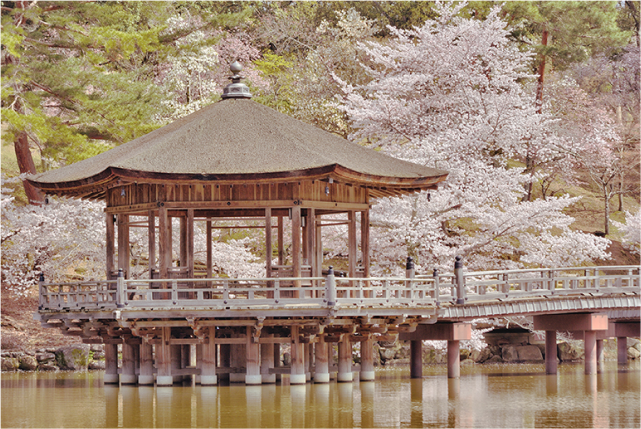 Nara Morning Tour: Kasuga Taisha Shrine, Whispering Path, and Ukimi-do Hall