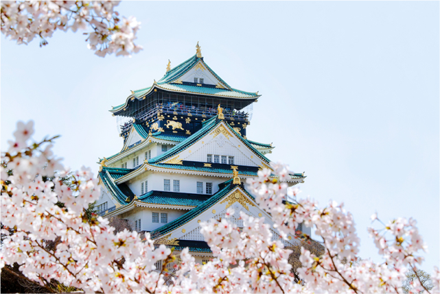 1-day Osaka Timeless Past and Thriving Present Tour: From Spiritual Base to Skyscraper
