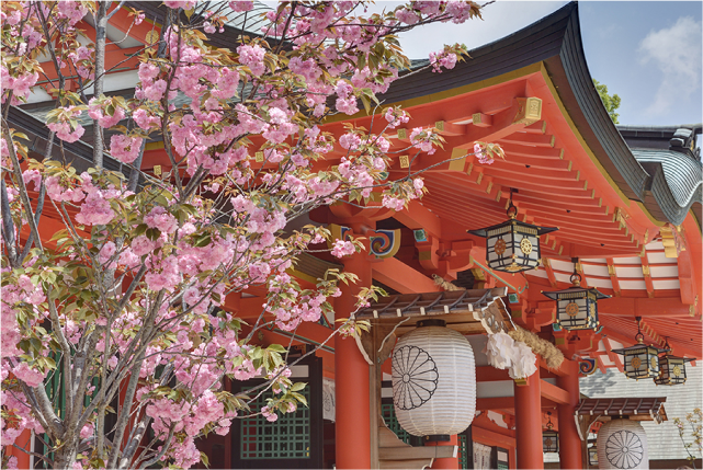 Crimson Splendor: A Blissful 1-Day Kobe Spring Foliage