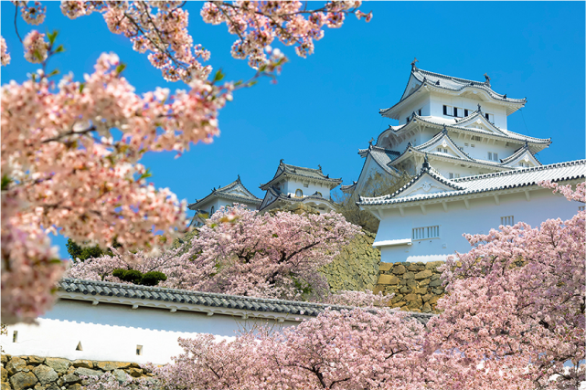 1-day Himeji Tour: World Heritage Castle and The Last Samurai Temple