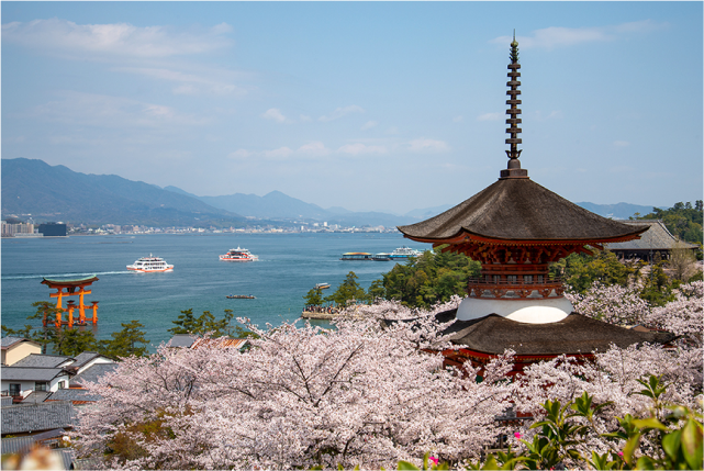 Crimson Splendor: A Blissful 1-Day Kobe Spring Foliage