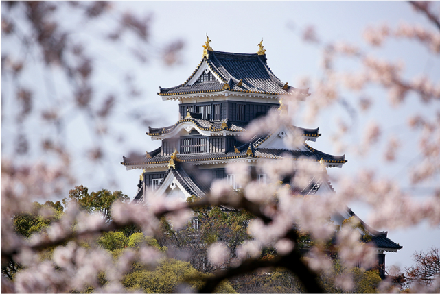 1-day Okayama Tour: Castle, Garden, and Historical Quarter