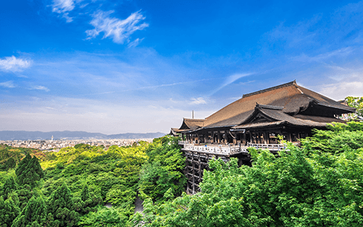 Kyoto's Timeless Beauty: A Journey through Historic Districts and Serene Temples