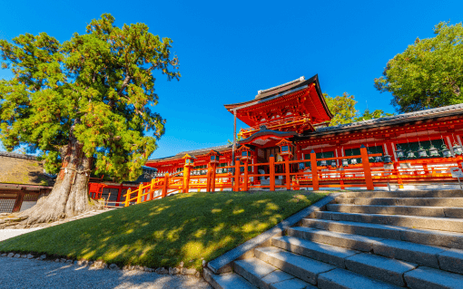 Timeless Spirits: Unveiling Nara and Fushimi's Charms