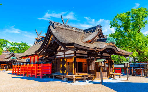 Enchanting Nara: Dancing Leaves of Autumn