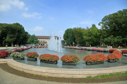 Ueno Park