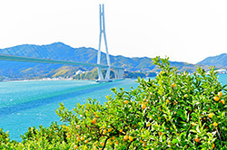 Tatara Bridge and Lemon Valley