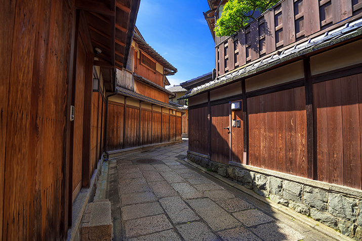 1-day Kyoto Timeless Beauty Tour: Temples and Geisha District