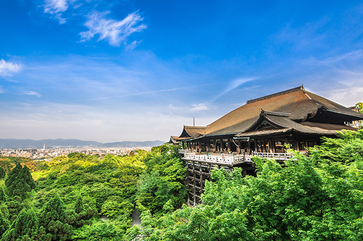 Kyoto's Timeless Beauty: A Journey through Historic Districts and Serene Temples