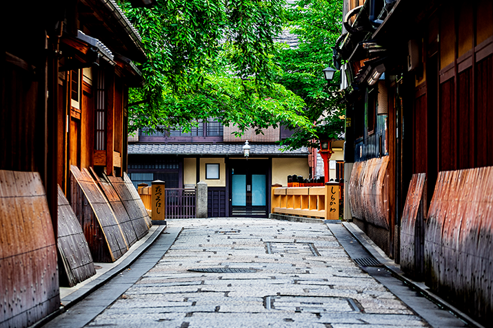 1-day Kyoto Timeless Beauty Tour: Temples and Geisha District
