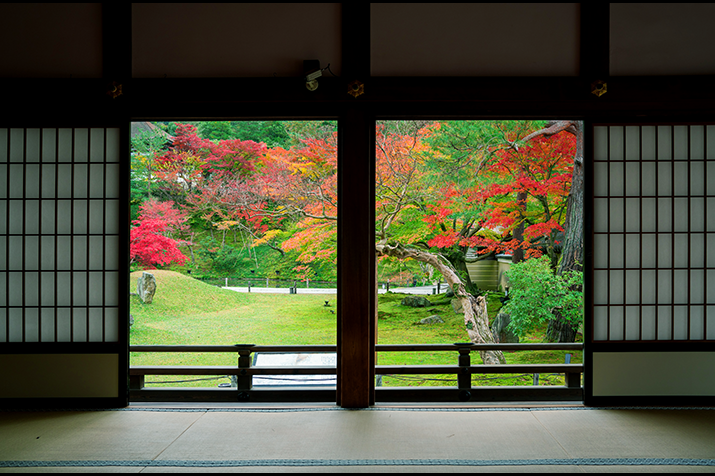 Beautiful Temples and Gardens: Kyoto Highlights Tour