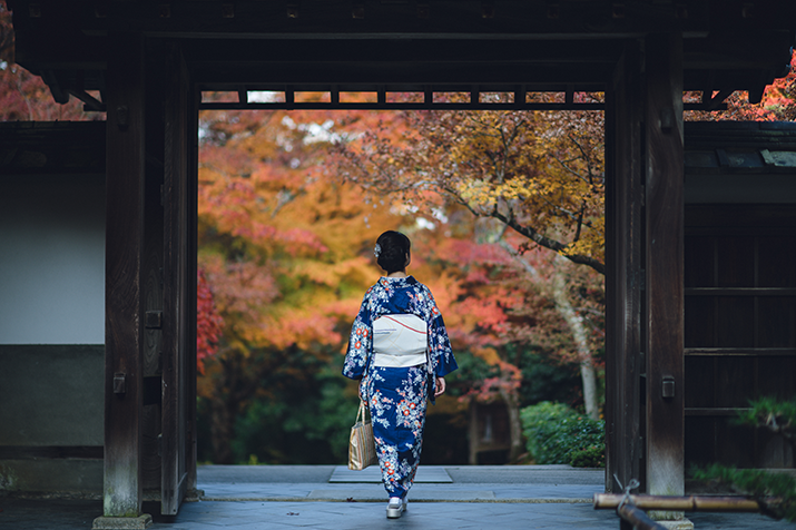 Beautiful Temples and Gardens: Kyoto Highlights Tour