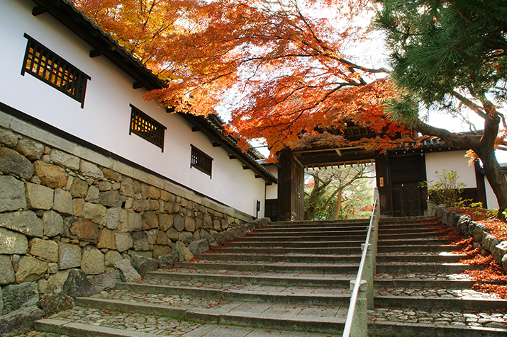 1-day Eastern Kyoto Highlights Tour from Osaka