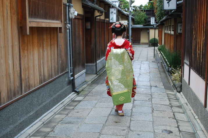 1-day Kyoto Timeless Beauty Tour: World Heritage Temple and Geisha Art Museum