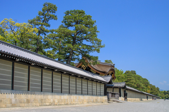 Morning Kyoto Tour: Castle and Imperial Palace Exploration