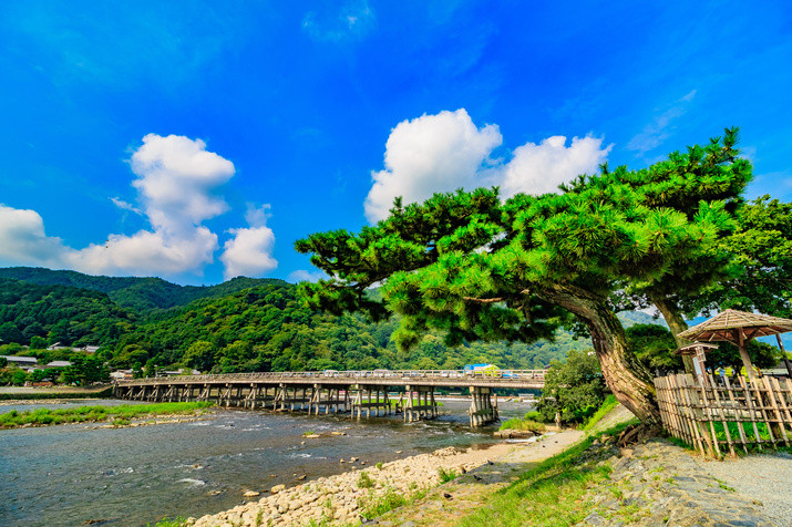 Morning Western Kyoto Tour: Ancient Time Nobles Resort and Bamboo Forest