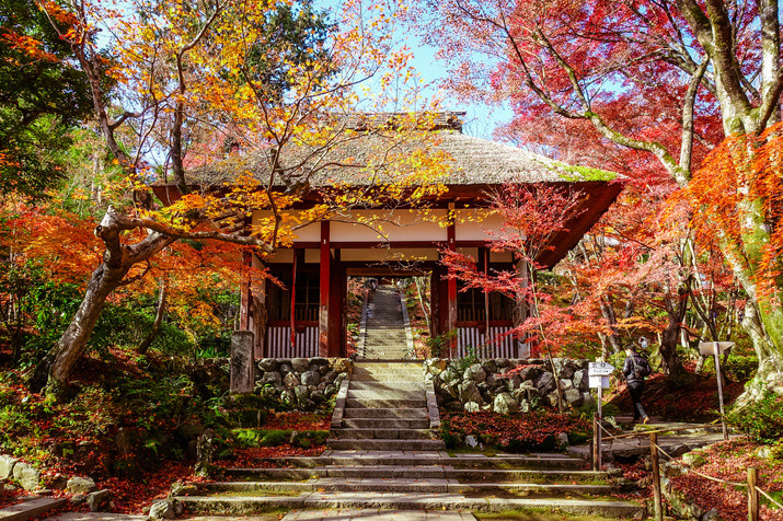 Morning Western Kyoto Tour: Ancient Time Nobles Resort and Bamboo Forest