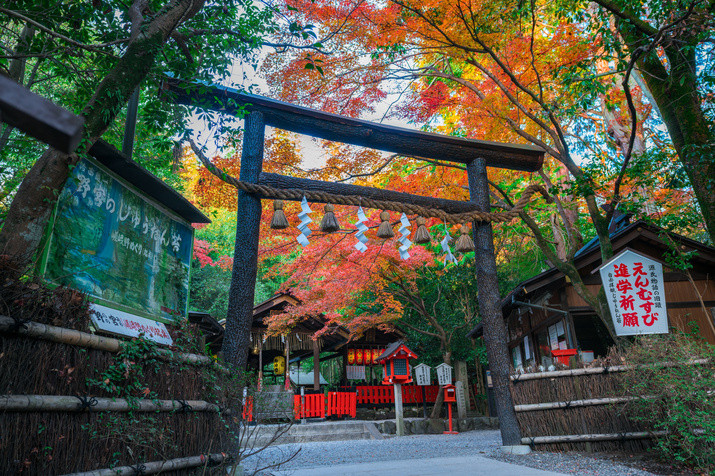 Morning Western Kyoto Tour: Ancient Time Nobles Resort and Bamboo Forest