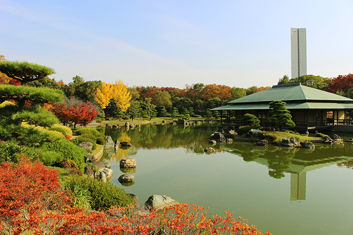 Osaka's Timeless Charms: Shrines, Knives, and Samurai Castle Delights from Kyoto