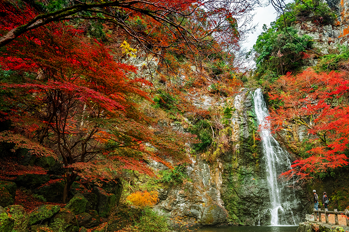 A Half-day Autumn Splendor: Exploring Minoh Waterfalls Hiking Course in Osaka