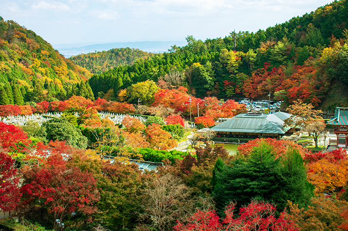 Half-day Autumn Splendor: Exploring Minoh Waterfalls Hiking Course in Osaka