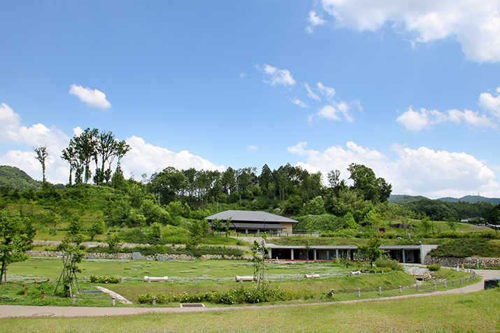 Timeless Asuka-mura Village: Ancient Tumuli and Rice Terrace