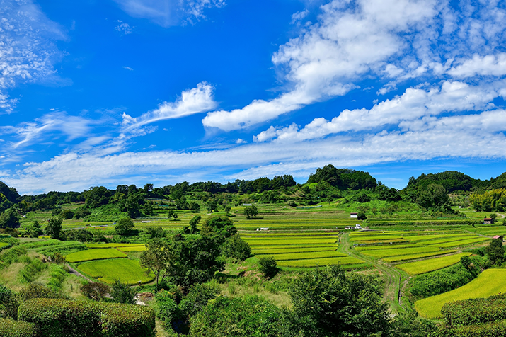 Timeless Asuka-mura Village: Ancient Tumuli and Rice Terrace